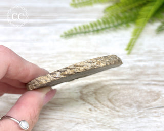 Agate Pinecone Slice #1