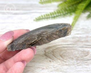 Agate Pinecone Slice #1
