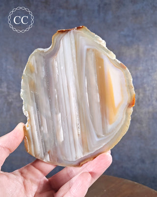Agate Slice #12