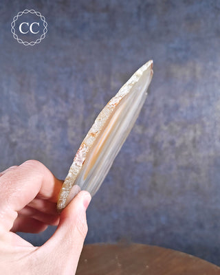Agate Slice #12