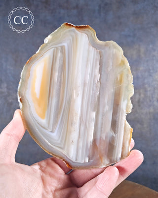 Agate Slice #12