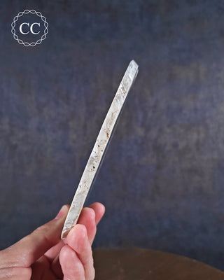 Agate Slice #4