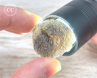 Agni Manitite #5