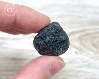 Agni Manitite #7