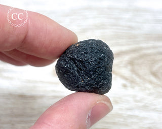 Agni Manitite #7