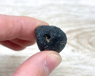 Agni Manitite #7