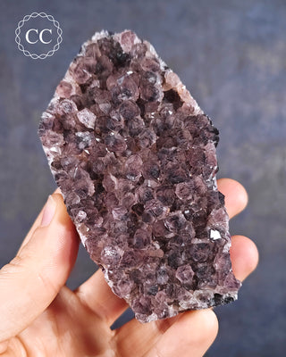 Alacam Amethyst Cluster from the Alacam mine in Turkey, show held in a hand.