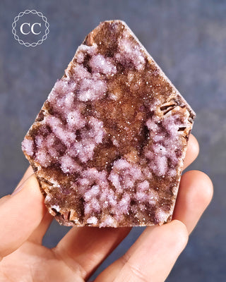 Alacam Amethyst Cluster from the Alacam mine in Turkey, show held in a hand.