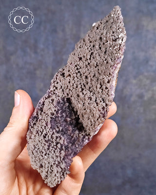Alacam Amethyst Cluster from the Alacam mine in Turkey, show held in a hand.
