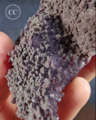 Alacam Amethyst Cluster #5