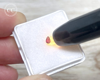 Alexandrite Faceted Gem #1