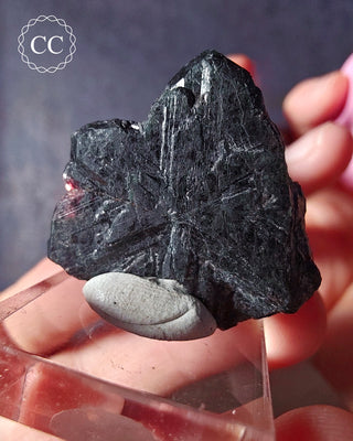 A Twinned Alexandrite Crystal from Brazil displayed on  a clear display stand and backlit with a tungsten torch
