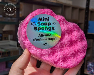 Alienne Soap Sponge