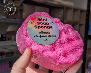Alienne Soap Sponge