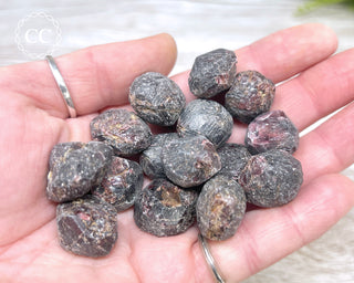Hand holding a selection of Almandine Garnet rough crystals 