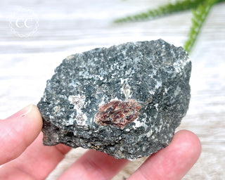 Almandine Garnet in Gneiss #1