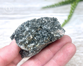 Almandine Garnet in Gneiss #1