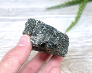Almandine Garnet in Gneiss #1