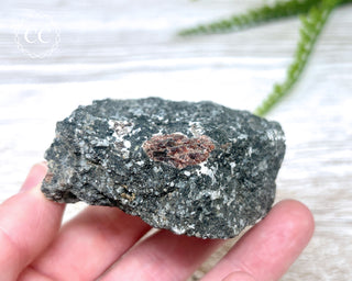 Almandine Garnet in Gneiss #1