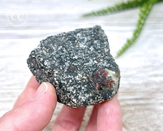 Almandine Garnet in Gneiss #2