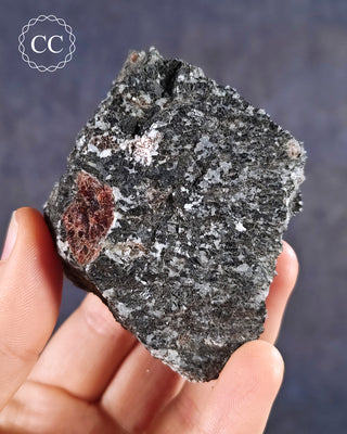 Almandine Garnet in Gneiss #1