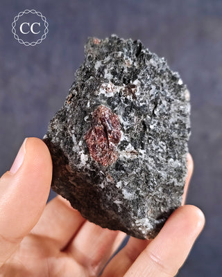 Almandine Garnet in Gneiss #1