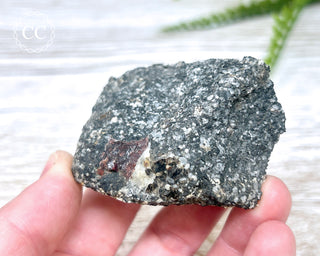 Almandine Garnet in Gneiss #2