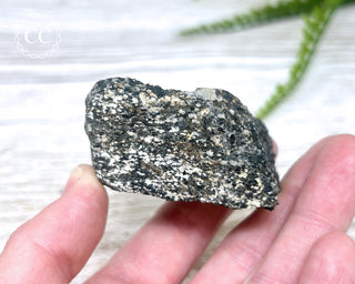 Almandine Garnet in Gneiss #2