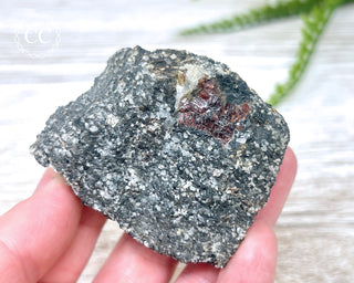Almandine Garnet in Gneiss #2