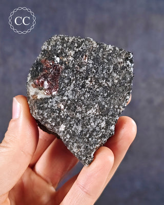 Almandine Garnet in Gneiss #2