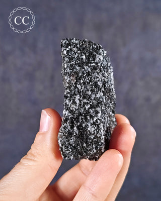 Almandine Garnet in Gneiss #2