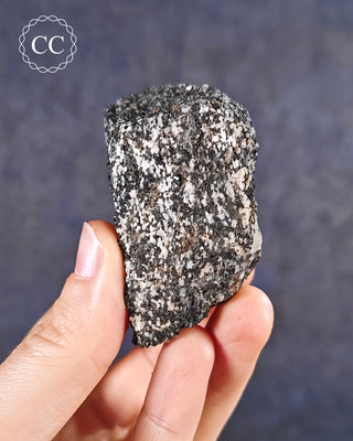 Almandine Garnet in Gneiss #2