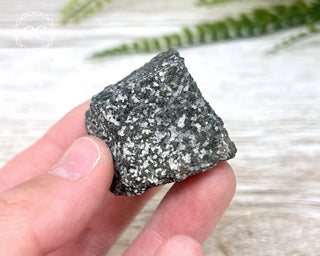 Almandine Garnet in Gneiss #1