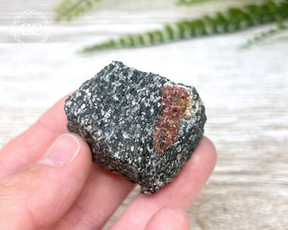 Almandine Garnet in Gneiss #1
