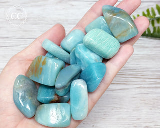 Amazonite Tumbled Crystals in hand