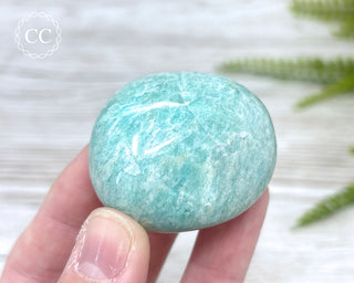 Amazonite Chunky Palm Stone #5