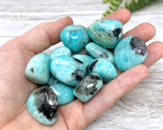 Amazonite & Smoky Quartz Tumbled Crystal