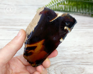 Sumatran Amber Polished Slice #3