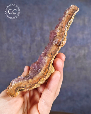 Amethyst Cluster - Morocco #16