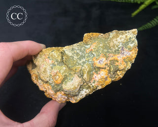 Amethyst Cluster - Morocco #16