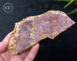 Amethyst Cluster - Morocco #16