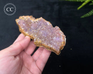 Amethyst Cluster - Morocco #16