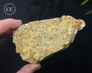 Amethyst Cluster - Morocco #13