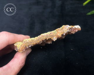 Amethyst Cluster - Morocco #13