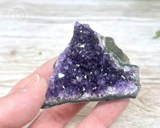 Amethyst Cluster #10