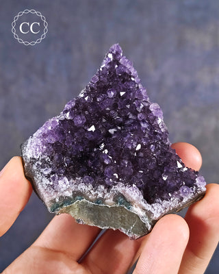 Amethyst Cluster #10