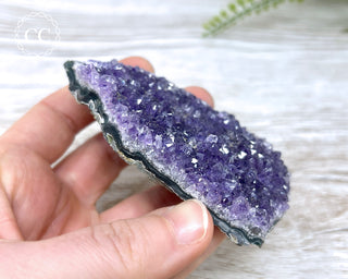 Amethyst Cluster #4