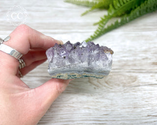 Amethyst Cluster #5