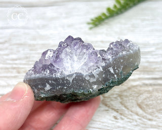 Amethyst Cluster #12