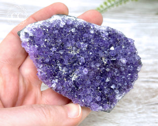 Amethyst Cluster #4